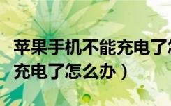 苹果手机不能充电了怎么办啊（苹果手机不能充电了怎么办）