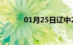 01月25日辽中24小时天气预报