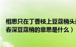 相思只在丁香枝上豆蔻梢头是哪个诗（一从恨满丁香结几度春深豆蔻梢的意思是什么）