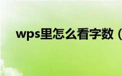 wps里怎么看字数（wps怎么查看字数）