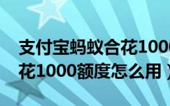 支付宝蚂蚁合花1000额度怎么使用（蚂蚁合花1000额度怎么用）