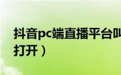 抖音pc端直播平台叫什么（抖音pc端在哪里打开）