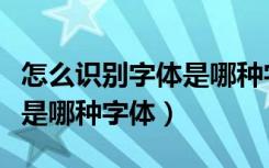 怎么识别字体是哪种字体好看（怎么识别字体是哪种字体）