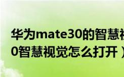 华为mate30的智慧视觉怎么用（华为mate30智慧视觉怎么打开）