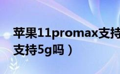 苹果11promax支持5g吗（苹果11promax支持5g吗）