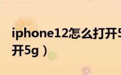 iphone12怎么打开5gsa（iphone12怎么打开5g）