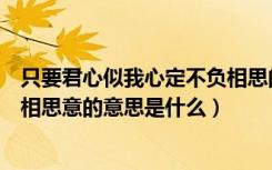 只要君心似我心定不负相思的意思（只愿君心似我心定不负相思意的意思是什么）