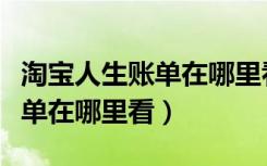 淘宝人生账单在哪里看苹果手机（淘宝人生账单在哪里看）