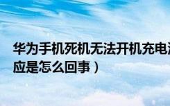 华为手机死机无法开机充电没反应（手机开不开机充电没反应是怎么回事）