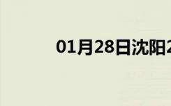 01月28日沈阳24小时天气预报