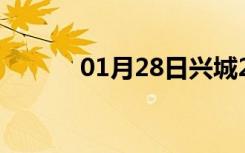 01月28日兴城24小时天气预报