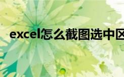 excel怎么截图选中区域（excel怎么截图）