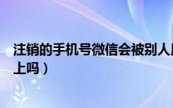 注销的手机号微信会被别人用吗（手机号销户微信会被别人上吗）