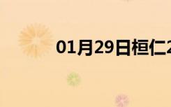 01月29日桓仁24小时天气预报