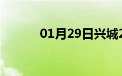 01月29日兴城24小时天气预报