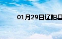 01月29日辽阳县24小时天气预报