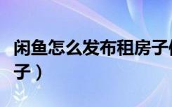 闲鱼怎么发布租房子信息（闲鱼怎么发布租房子）