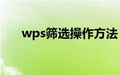 wps筛选操作方法（wps筛选怎么用）