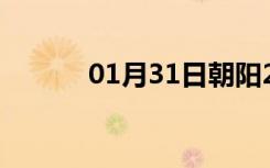 01月31日朝阳24小时天气预报