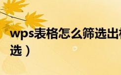 wps表格怎么筛选出相同项（wps表格怎么筛选）