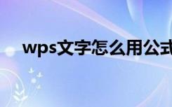 wps文字怎么用公式（wps文字怎么用）