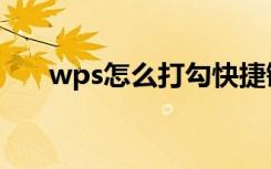 wps怎么打勾快捷键（wps怎么打勾）