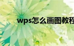 wps怎么画图教程（wps怎么画图）