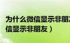 为什么微信显示非朋友还能发信息（为什么微信显示非朋友）