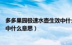 多多果园极速水壶生效中什么意思（多多果园极速水壶生效中什么意思）