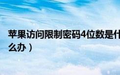 苹果访问限制密码4位数是什么（苹果6访问限制密码忘了怎么办）