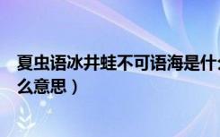 夏虫语冰井蛙不可语海是什么意思（井蛙语海夏虫语冰是什么意思）