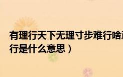 有理行天下无理寸步难行啥意思（有理走遍天下无理寸步难行是什么意思）