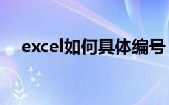 excel如何具体编号（excel中怎么编号）