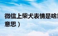 微信上柴犬表情是啥意思（微信柴犬表情什么意思）