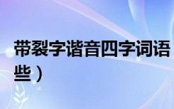 带裂字谐音四字词语（带裂字的四字词语有哪些）