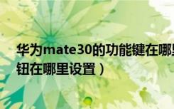 华为mate30的功能键在哪里（华为mate30底部的三个按钮在哪里设置）