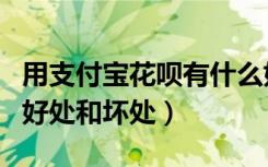 用支付宝花呗有什么好处和坏处（使用花呗的好处和坏处）