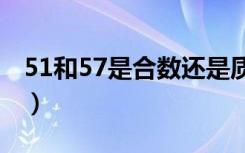 51和57是合数还是质数（57是质数还是合数）