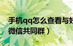 手机qq怎么查看与好友共同的群（如何查看微信共同群）