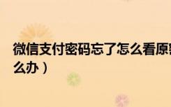 微信支付密码忘了怎么看原密码（手机微信支付密码忘了怎么办）