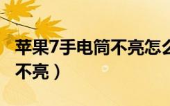 苹果7手电筒不亮怎么办（苹果11手电筒怎么不亮）