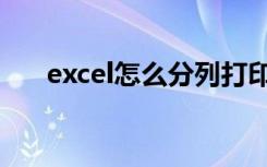 excel怎么分列打印（excel怎么分列）