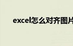 excel怎么对齐图片（excel怎么对齐）