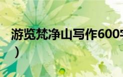 游览梵净山写作600字（游梵净山作文怎么写）