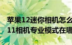 苹果12迷你相机怎么设置专业模式（iphone11相机专业模式在哪）