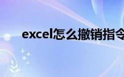 excel怎么撤销指令（excel怎么撤销）