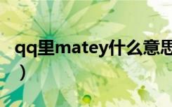 qq里matey什么意思（qq里matey什么意思）