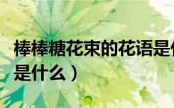 棒棒糖花束的花语是什么（棒棒糖花束的寓意是什么）