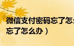 微信支付密码忘了怎么办视频（微信支付密码忘了怎么办）