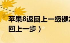 苹果8返回上一级键怎么设置（苹果8怎么返回上一步）